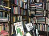 The exterior of the Foreign Book Store displays shelves of all of kinds of books, which are mostly dictionaries and children’s books. [AAMNA SHEHZAD]