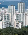 테스트