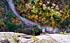 A rock climber on Mount Seorak descends toward so trees that are in the process of changing colors. [KIM SANG-SEON]