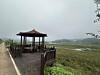 A foggy start to the day in rural Mungyeong, North Gyeongsang, on Sept. 30.  [JIM BULLEY]