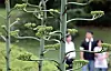 테스트
