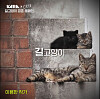 Photograph of stray cats taken by Lee Yong-han. [S&CO]