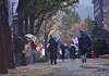 Seoulites passing through Sejongno in downtown Seoul on Monday try to shield themselves from the strong wind and rain. [YONHAP]