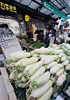 A shopper picks out radishes at a local traditional market in Seoul on Wednesday. The cost of kimjang (kimchi-making) is expected to go up by 20 percent, according to one data analysis, compared to the previous year due to inflation in the prices of cabbage, radishes and other vegetables. According to the Korea Price Research Center, which rolled out a price analysis of 15 kimjang ingredients in 17 local markets, making kimchi for a four-person household will cost 419,130 won, a 19.6 percent jump from a year before. [YONHAP]