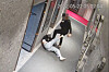 The surveillance footage of a man only identified as Lee attacking a random woman in front of an elevator in Busan in May 2022. Lee was sentenced to 20 years for assault and rape attempt. [VIDEO CAPTURE]