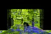 ″Monet, Renoir... Chagall 2021″ created by directors G. Iannuzzi, R. Gatto, M. Siccardi, realised by Cutback, sound track by L. Longobardi is on display at the Bunker de Lumieres. [TMONET]