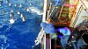 A Korean vessel catches toothfish near the Antarctic Ocean. [NATIONAL INSTITUTE OF FISHERIES SCIENCE]
