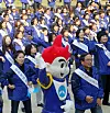 테스트