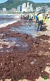 테스트