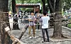 테스트