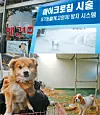 테스트