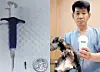 테스트