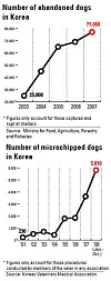 테스트