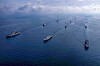 South Korean and U.S. warships engaging in combined drills in waters off Pohang, North Gyeongsang, on March 22. [KOREA NAVY]