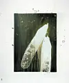 테스트