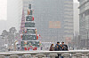 People take a selfie with a giant Christmas tree at the background at Cheonggye Plaza in downtown Seoul during heavy snowfall on Thursday. [NEWS1]