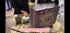 A YouTube video of an 18-year-old high school student on a luxury shopping spree. [SCREEN CAPTURE]