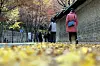 Pedestrians walk along the stone wall surrounding Deoksu Palace in Jung District, central Seoul, on Sunday when daily morning lows were recorded around four to 15 degrees Celsius. [YONHAP]