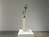 “Investment Bank Flowerpots/CitiGroup Nerium Oleander” (2019) by Superflex [SHIN MIN-HEE]