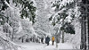 Visitors to Gangwon's highland Daegwallyeong area in Pyeongchang County walk on snow on Tuesday. Heavy snow advisories were issued in the area on the same day. [YONHAP]