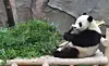 테스트