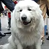 테스트