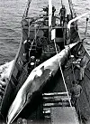 테스트