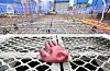 Construction is temporarily suspended at an apartment construction site in Seoul due to the ongoing trucker strike, which has been preventing shipments of cement. [YONHAP]