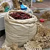 테스트