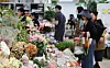 On May 7, the day before Parents' Day, consumers shop for carnations at Yangjae Flower Market in Seocho District, southern Seoul. [YONHAP]