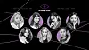 Girl group Purple Kiss [RBW]