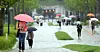 People using umbrellas to protect themselves from the rain. [NEWS1]