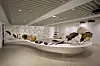 A display of many different umbrellas during an exhibition in Korea last year [PLATFORM-L]