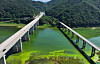 Green algae blooms cover Soyang Lake in Inje County, Gangwon, amid a heat wave persisting throughout the nation on July 28. [YONHAP]