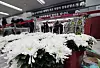 Flowers are placed in front of memorial altar in Muan International Airport in South Jeolla on Jan. 4. [NEWS1]