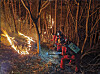 Firefighters set up a firebreak in a mountainside area in Yecheon County, North Gyeongsang, where an overnight blaze scorched 370,000 square meters before being extinguished at 9:30 a.m. Wednesday. [KOREA FOREST SERVICE]