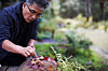 A scene from the documentary ″The Wandering Chef″(2018) directed by Park Hye-ryeong shows the celebrity chef Im Ji-ho, famous for wandering in search of food ingredients from nature. Im died of a heart attack Saturday at the age of 65. [AT9 FILM]