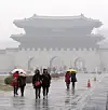 테스트