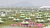 Tents are pitched on the Jamboree campgrounds. [YONHAP]