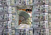 An employee sorts out dollars at Hana Bank's Counterfeit Notes Response Center in Jung District, central Seoul, on Dec. 5. [YONHAP]
