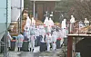 Quarantine officials cull about 193,000 birds from a poultry farm in Yeoju, Gyeonggi, on Monday after the farm owner reported that a highly pathogenic avian influenza was suspected to be the cause of deaths of 1,000 chickens on Sunday. Results of testing to determine whether it was a highly pathogenic avian influenza are expected to come out Tuesday afternoon or Wednesday morning. [YONHAP]