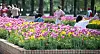 Visitors to this year's Goyang International Flower Festival, one of the largest flower festivals in Korea, take pictures. This year, the event was held from April 26 to May 12. [NEWS1]