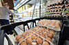 Eggs are displayed at a supermarket in Seoul on Oct. 30. [NEWS1]