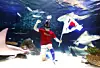 테스트