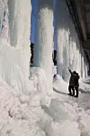 테스트