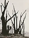테스트