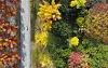 The Chonnam National University campus in Buk District, Gwangju, boasts brilliant colors on Thursday as the region sees the last of its autumn foliage. The weather is expected to be mild nationwide Friday, though parts of Gyeonggi and Gangwon will see temperatures drop below freezing with the onset of winter. [YONHAP]