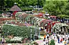 Roses welcome the visitors at the Gokseong International Rose Festival, Gokseong, South Jeolla. [JANG JEONG-PIL]