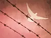 테스트