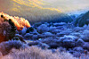 Frost descends on the Secret Garden in Inje County, Gangwon, on Sunday morning, creating a picturesque landscape. The garden got its name from its former status as a military operations zone that was off-limits to the public. [NEWS1]